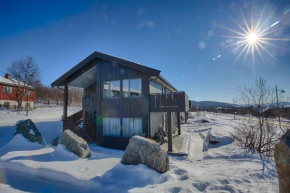 A Family-Friendly, Pet-Friendly Getaway in Beitostølen Center